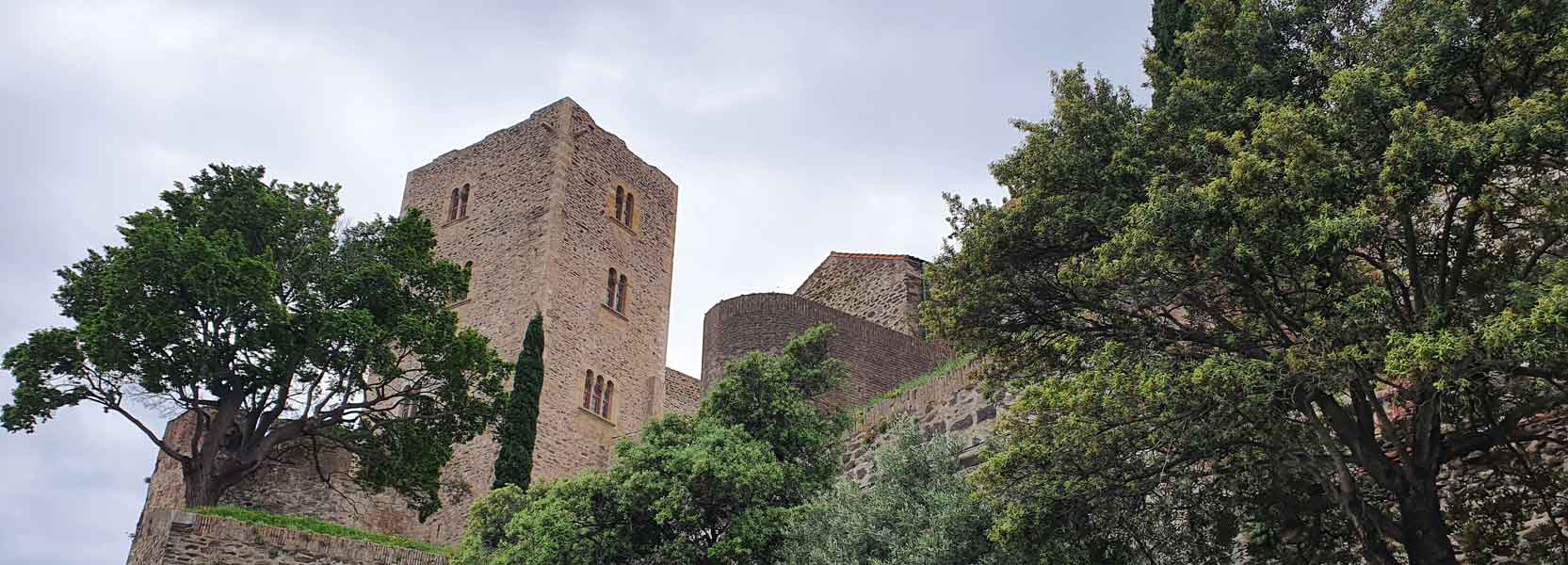 La forteresse de Collioure sur son rocher et avec ses arbres